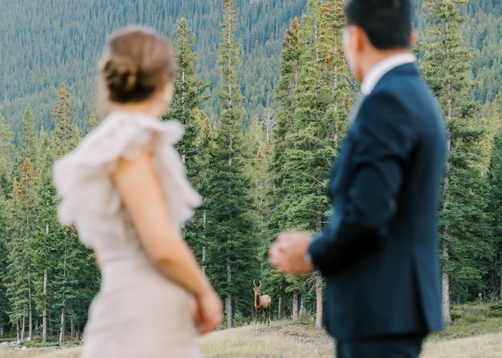 Meghan Fenton Photography | 702 3 St, Canmore, AB T1W 2J6, Canada | Phone: (705) 717-4134