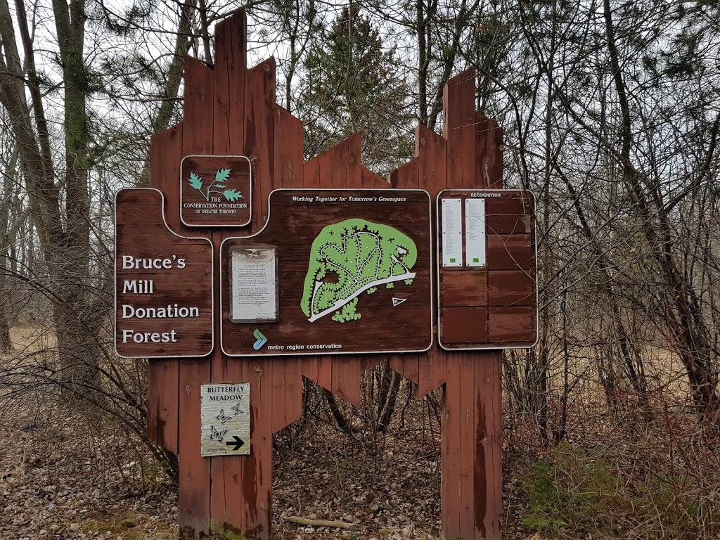 Treetop Trekking Stouffville | 3291 Stouffville Rd, Whitchurch-Stouffville, ON L4A 7X5, Canada | Phone: (844) 369-0009