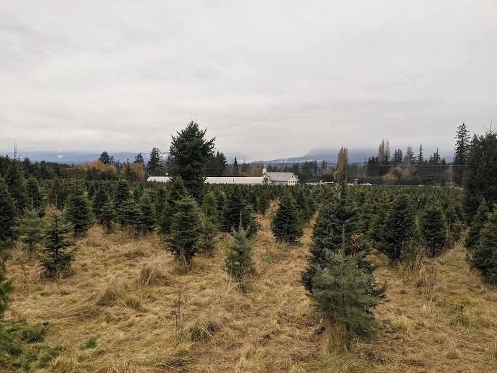 Mountain Ridge Tree Farms | 5228 N Island Hwy, Courtenay, BC V9J 1S7, Canada | Phone: (250) 338-0848