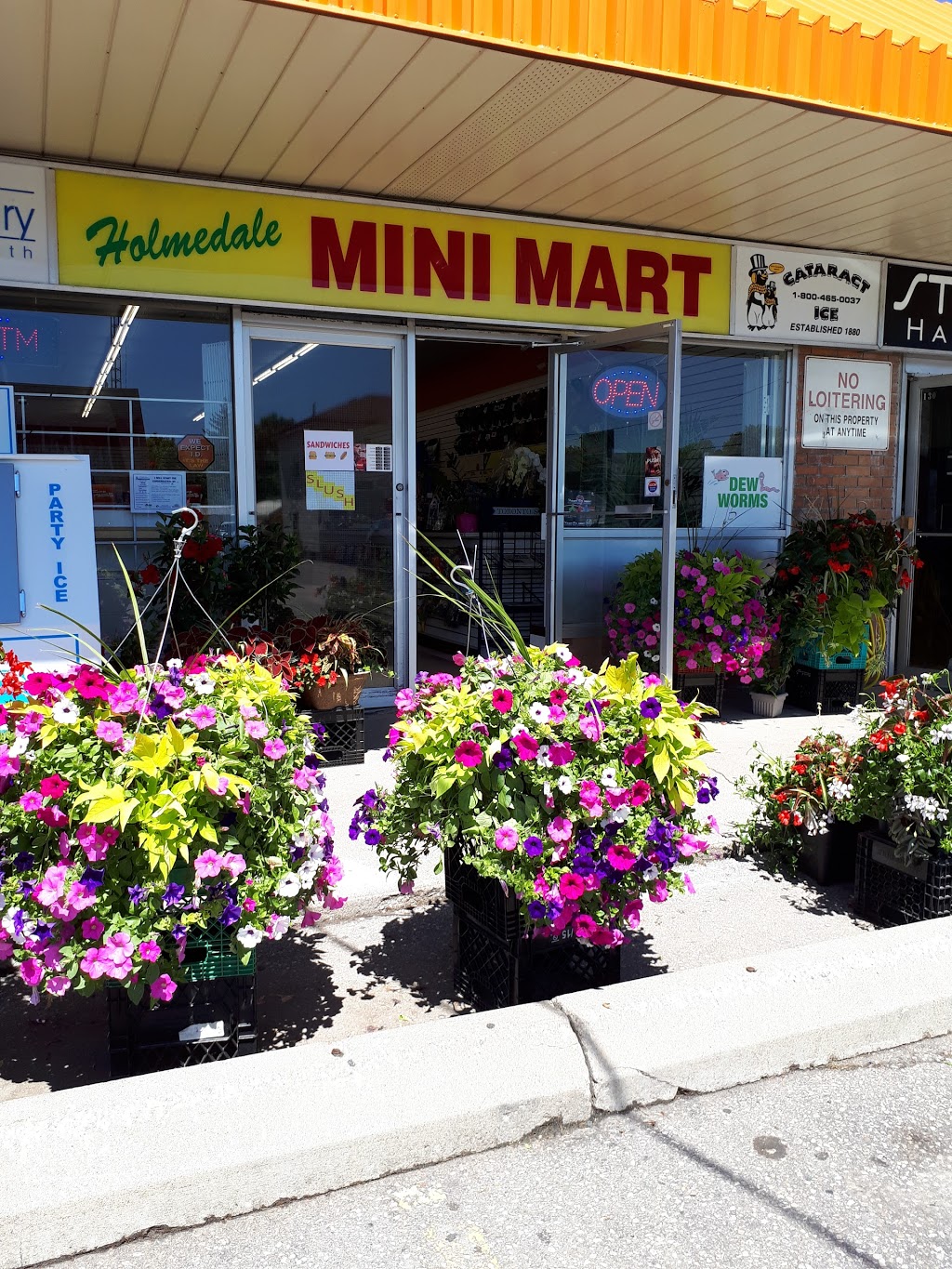 Holmedale Mini Mart | 128 Morrell St, Brantford, ON N3T 4J8, Canada | Phone: (519) 751-0405