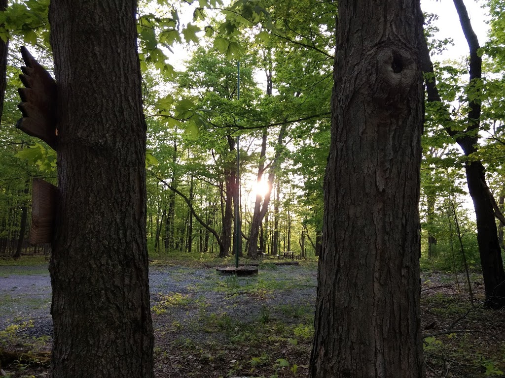 Clarence Nature Center | Thompson Rd, Clarence, NY 14031, USA | Phone: (716) 984-9046