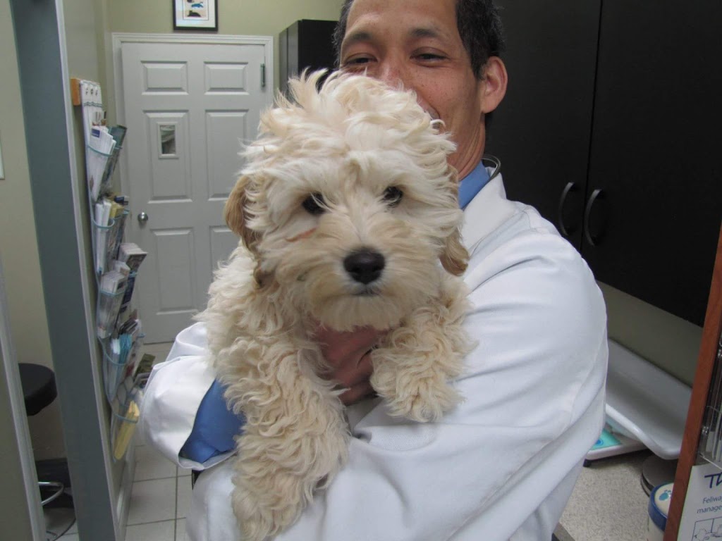 HIGHBURY NORTH PET HOSPITAL | 1570 Highbury Ave N #1, London, ON N5Y 5N7, Canada | Phone: (519) 659-4000