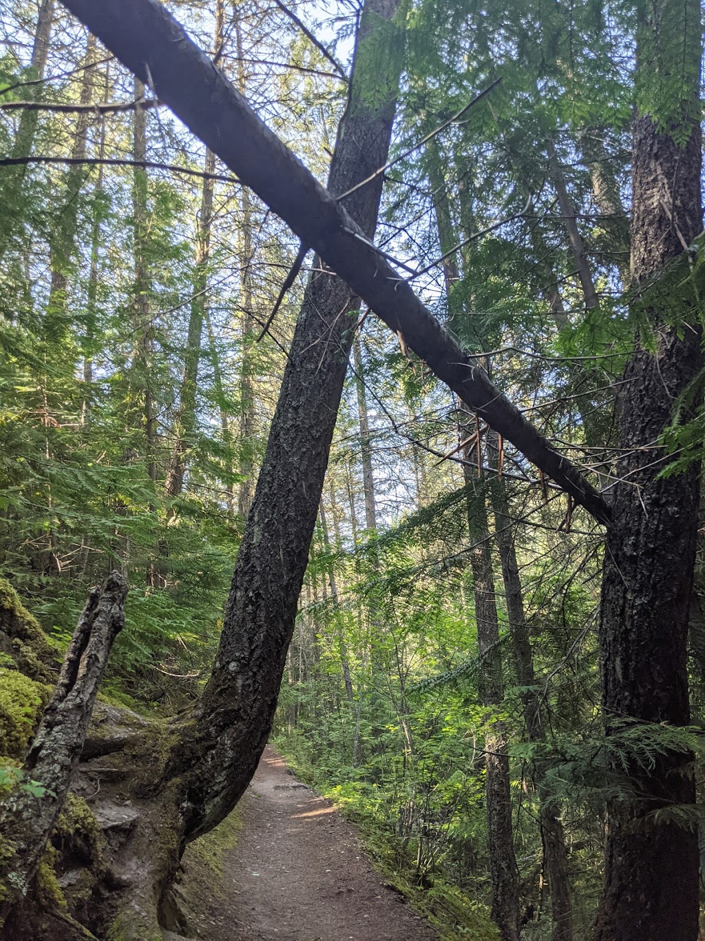 Sinclair Canyon Trail | ROTARY PARK, Radium Hot Springs, BC V0A 1M0, Canada | Phone: (250) 347-9505