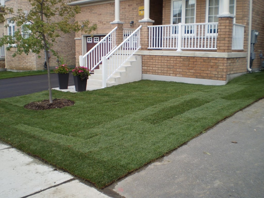 Eagle Landscaping Ltd | 107 Forestview Rd, Oro-Medonte, ON L3V 0R4, Canada | Phone: (705) 826-1258