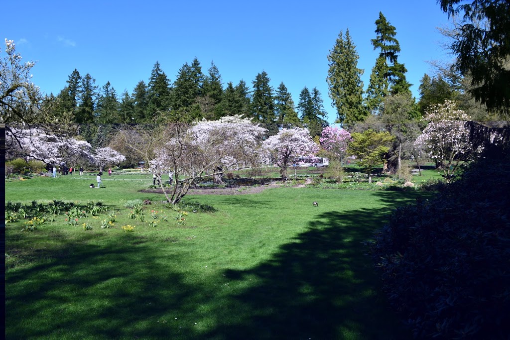 Stanley Park Rock Garden | 600 Pipeline Rd, Vancouver, BC V6G 3E2, Canada | Phone: (604) 264-9642