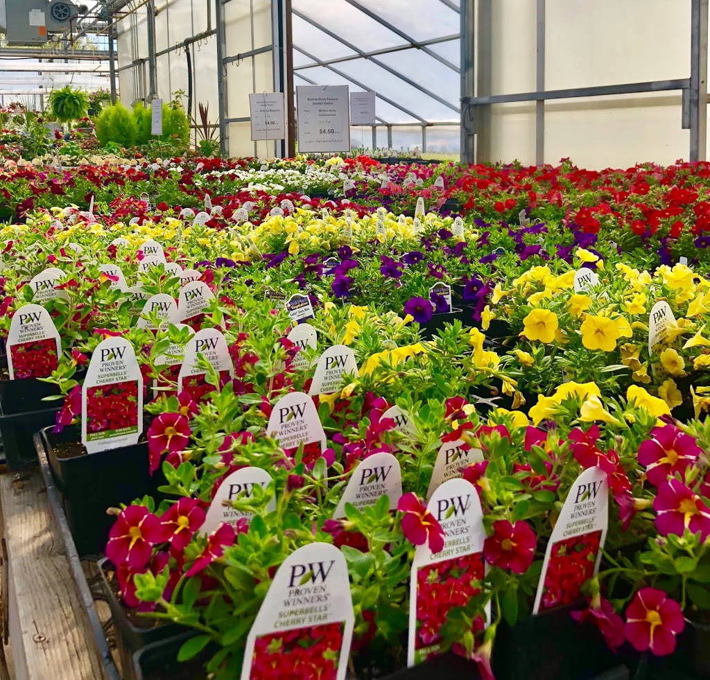 Bonnie Doon Flowers (Garden Centre) | 850 23 Ave NW, Edmonton, AB T6T 1J1, Canada | Phone: (780) 440-3053