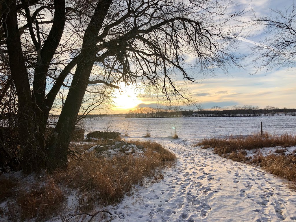 Country Lane Kennels Morden | Rd 15 N, Thornhill, MB R0G 2T0, Canada | Phone: (204) 822-3129