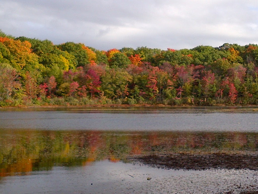 Westminster Ponds ESA | Westminster, London, ON N6C 2X8, Canada