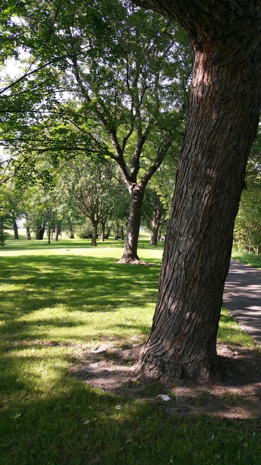 Brick By Brick Park | Vanier, Oshawa, ON L1J, Canada