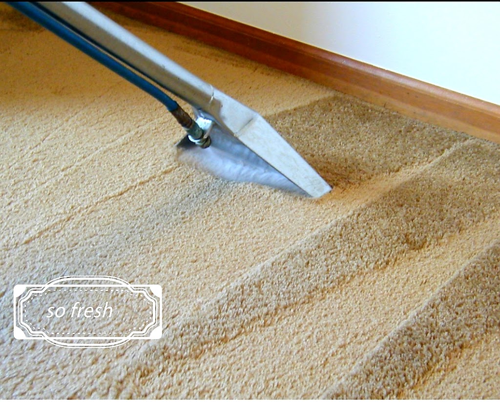 Eco-Fresh Carpet & Grout Cleaning | 80 Griselda Crescent, Brampton, ON L6S 1M3, Canada | Phone: (416) 993-9547