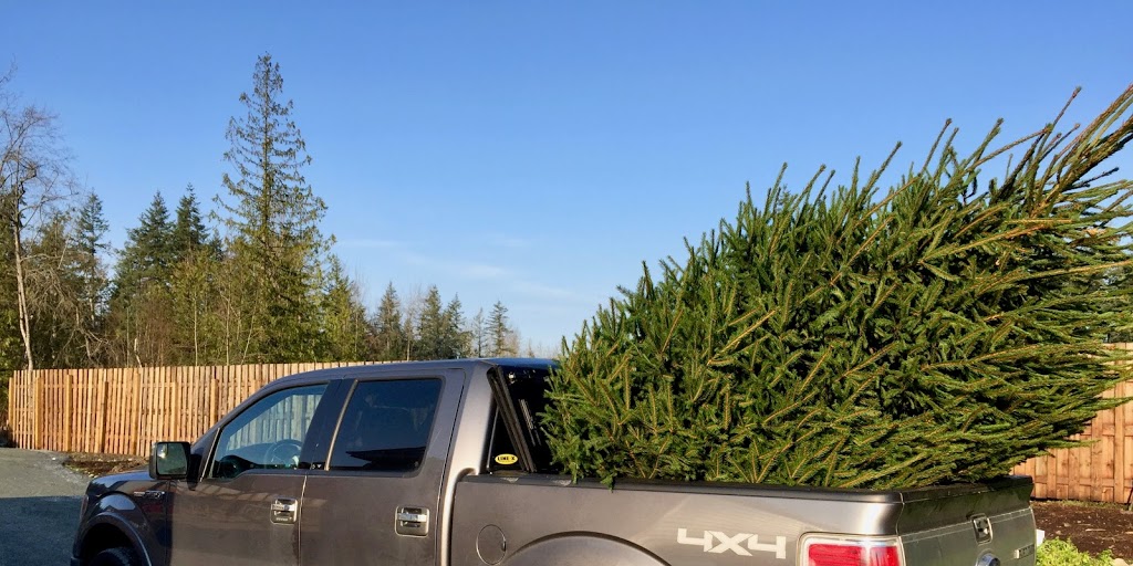 Tannenbaum Christmas Tree Farm | 5398 252 St, Aldergrove, BC V4W 1T1, Canada | Phone: (778) 552-3259