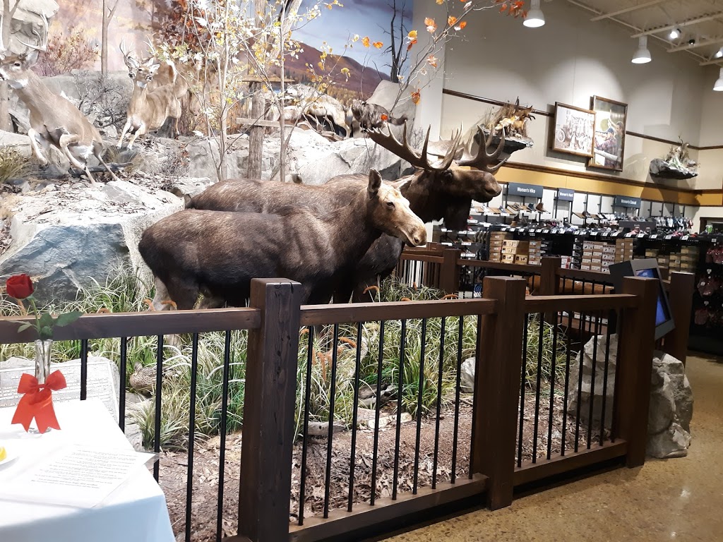 Cabelas | 45959 Towne Center Blvd, Chesterfield, MI 48047, USA | Phone: (586) 273-5100