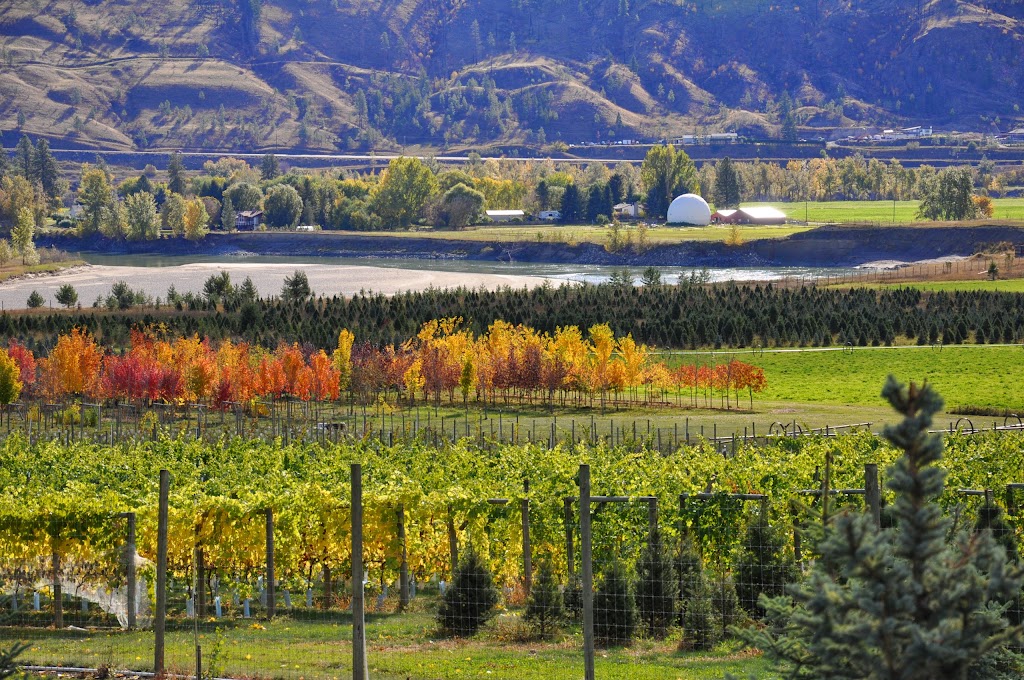 Privato Vineyard & Winery | 5505 Westsyde Rd, Kamloops, BC V2B 8N5, Canada | Phone: (250) 579-8739