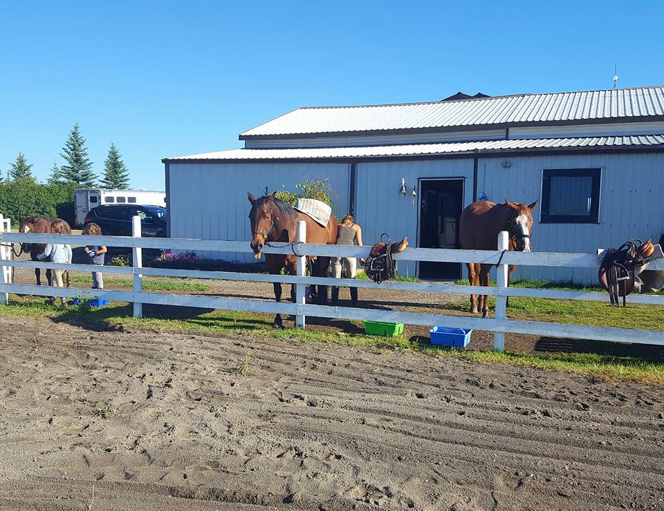 Marit Stables | 41040 Big Hill Springs Rd, Cochrane, AB T4C 0G8, Canada | Phone: (403) 975-2836