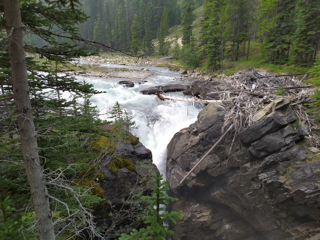 Kootenay Plains Ecological Reserve | Clearwater County, AB, Canada | Phone: (403) 845-8349