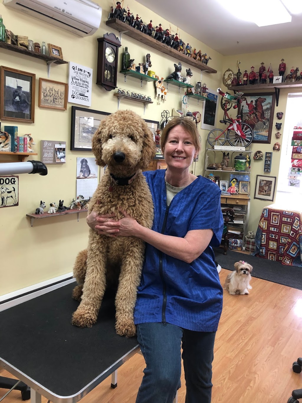 Tender Touch Pet Grooming | 449 Main St #5, Ile des Chênes, MB R0A 0T0, Canada | Phone: (204) 781-4741