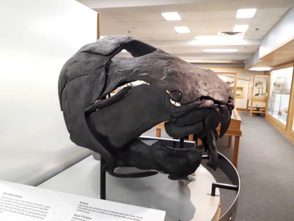 Paleontology Museum | Earth Sciences Building, Edmonton, AB T6G 2E3, Canada | Phone: (780) 492-2518