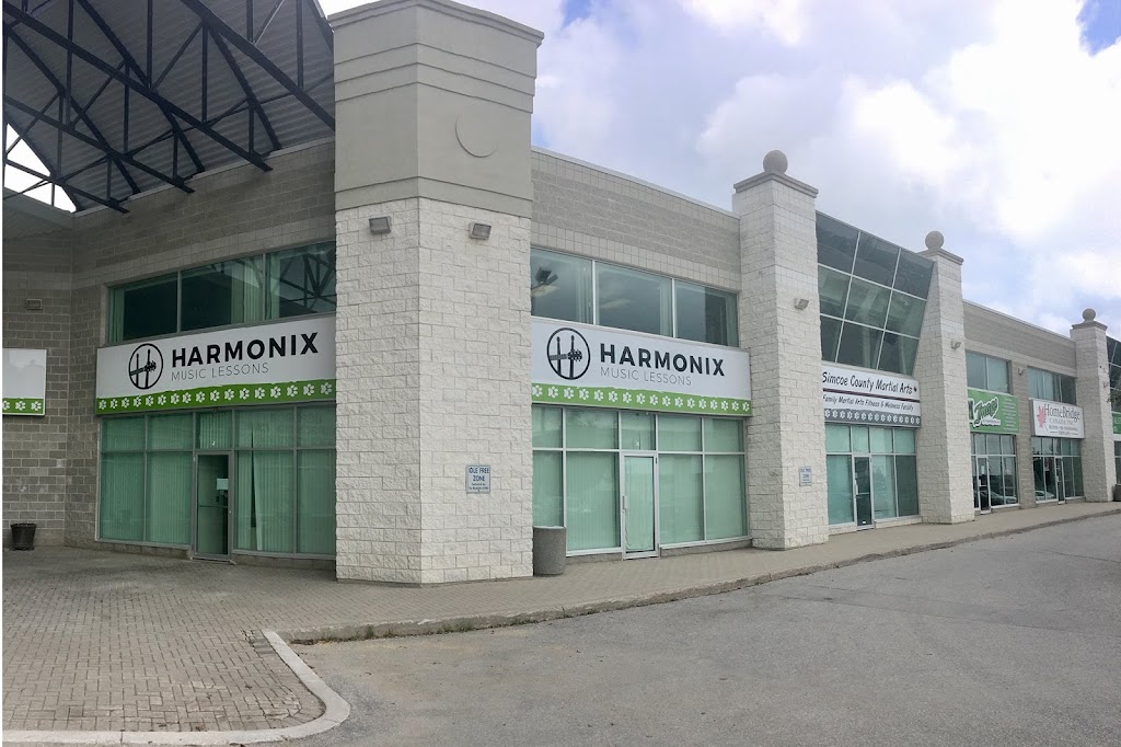 Harmonix Music Lessons | 576 Bryne Dr Suite J, Barrie, ON L4N 9P6, Canada | Phone: (705) 818-1699