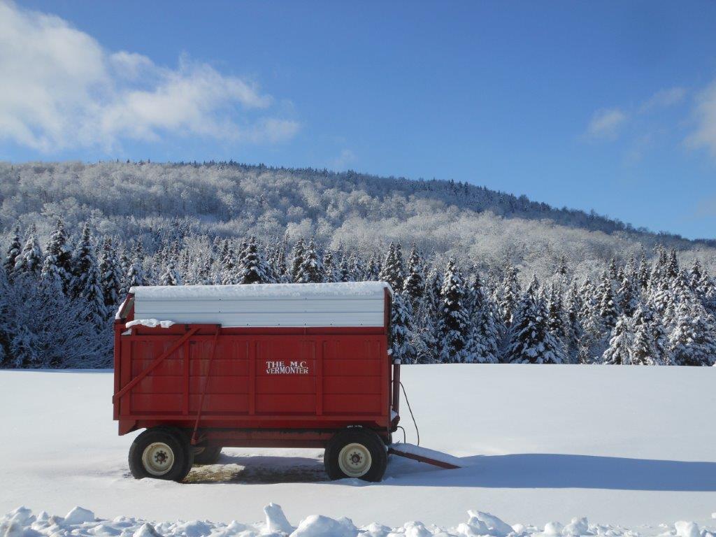 Carol Anns Rentals | 615 Fiske Rd, Barton, VT 05822, USA | Phone: (802) 525-4132