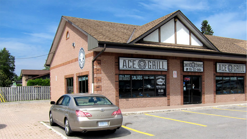 Ace Grill | 34 Yonge St S, Elmvale, ON L0L 1P0, Canada | Phone: (705) 322-6484