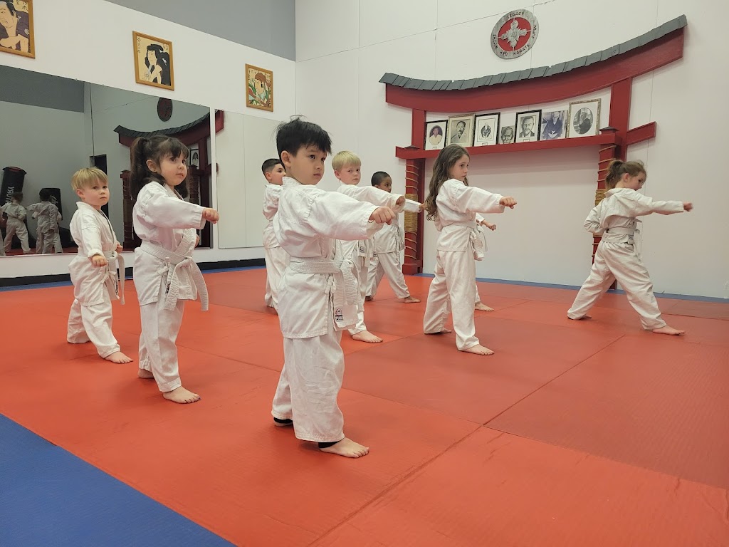 Legacy Shorin Ryu Karate Jutsu | 1 Silver St, St Thomas, ON N5P 4L8, Canada | Phone: (519) 872-2418