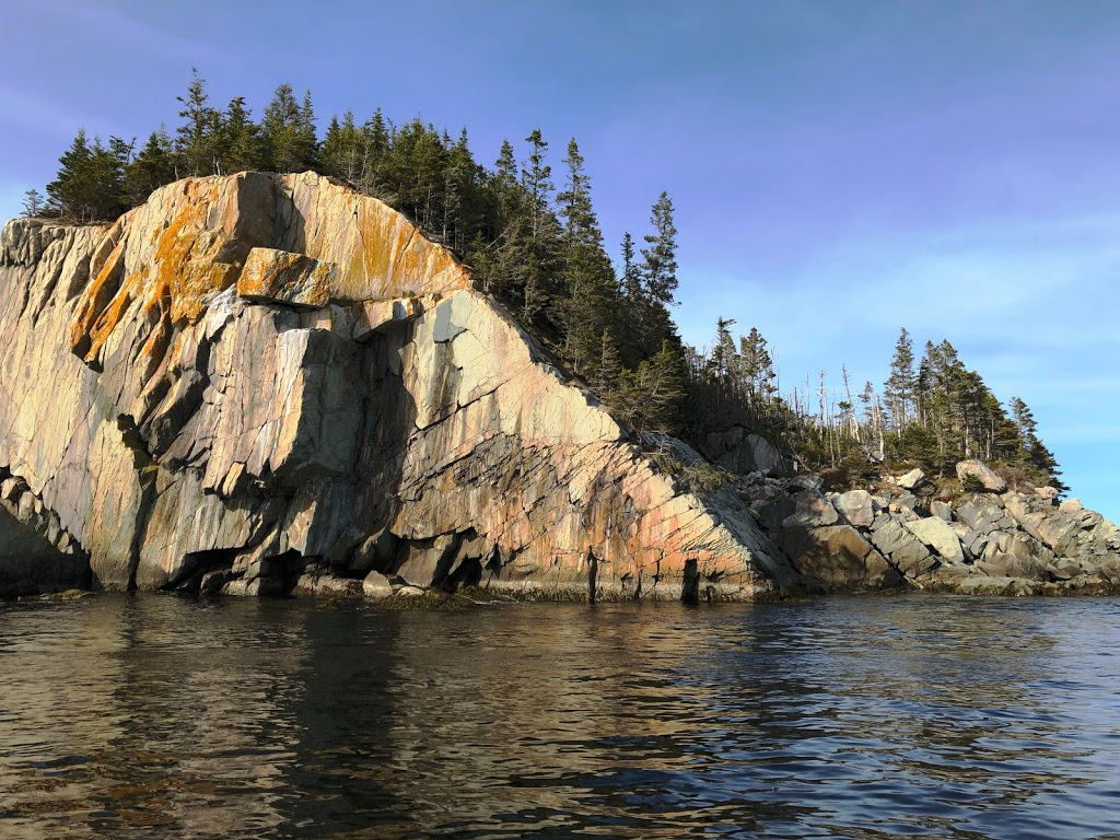 Norse Cove Boat Tours Nova Scotia | 18 Dewolfes Rd, Tangier, NS B0J 3H0, Canada | Phone: (902) 430-4559