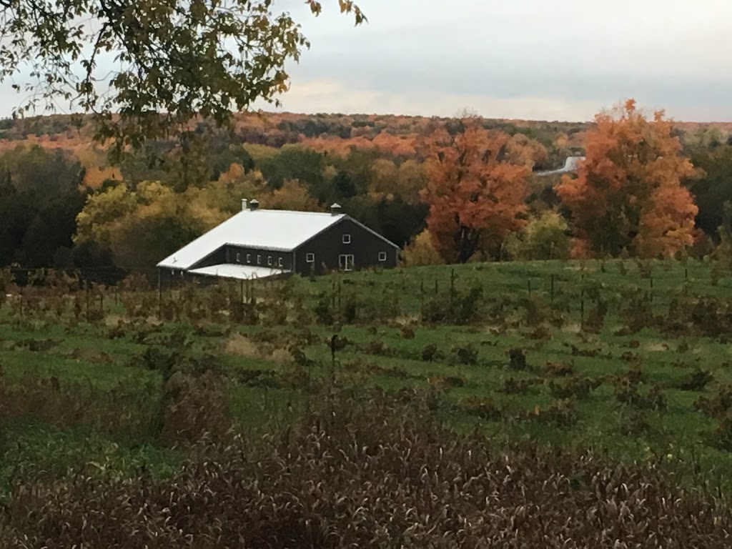 Heritage Estate Winery and Cidery | 421 Penetanguishene Rd, Barrie, ON L4M 0H1, Canada | Phone: (705) 797-1919