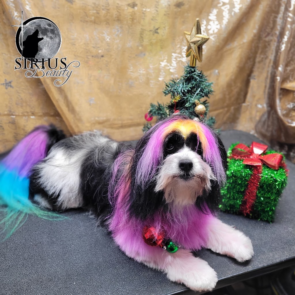 Courtenay Grooming Salon & Sirius Beauty Dog Spa | 361 Woods Ave, Courtenay, BC V9N 3Y7, Canada | Phone: (250) 334-2050