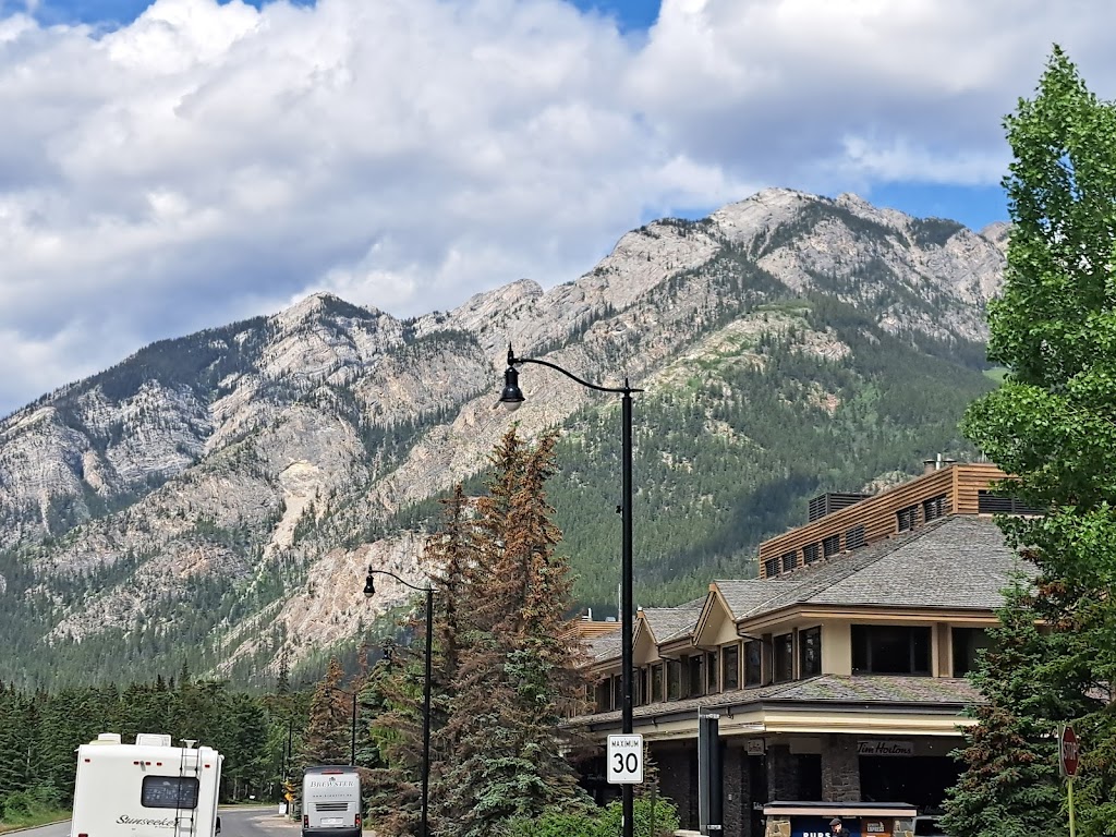 Brewster Sightseeing | 100 Gopher St, Banff, AB T1L 1G4, Canada | Phone: (866) 360-8839