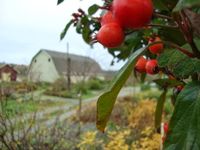 Earthwise Society Demonstration Garden and Farm | 6400 3 Ave, Delta, BC V4L 1B1, Canada | Phone: (604) 946-9828