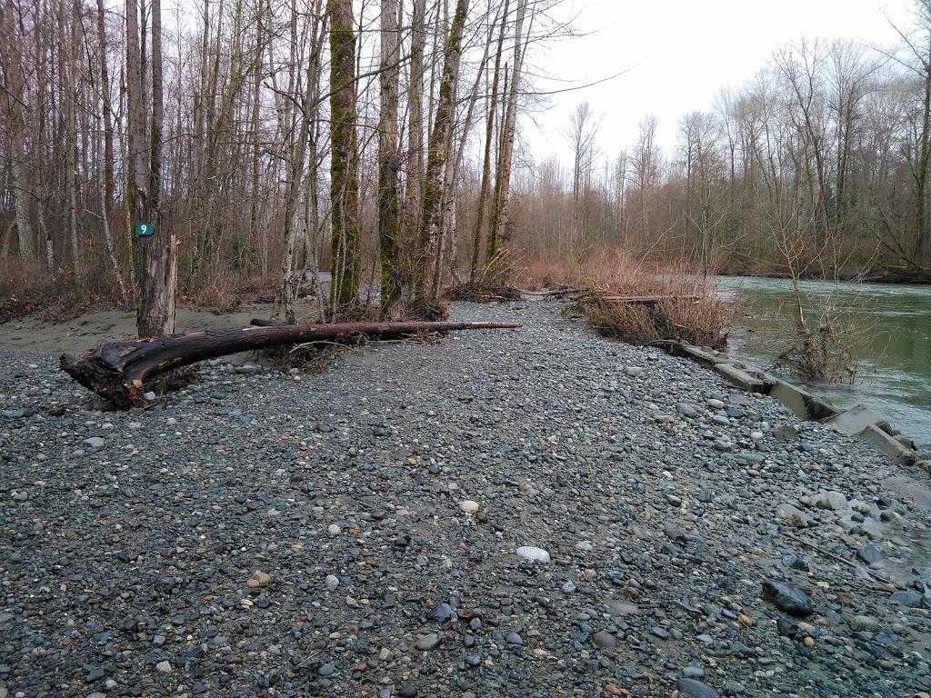 Bald Eagle Campground-Rv Sites | 8705 Chemainus Rd, Chemainus, BC V0R 1K5, Canada | Phone: (250) 246-9457
