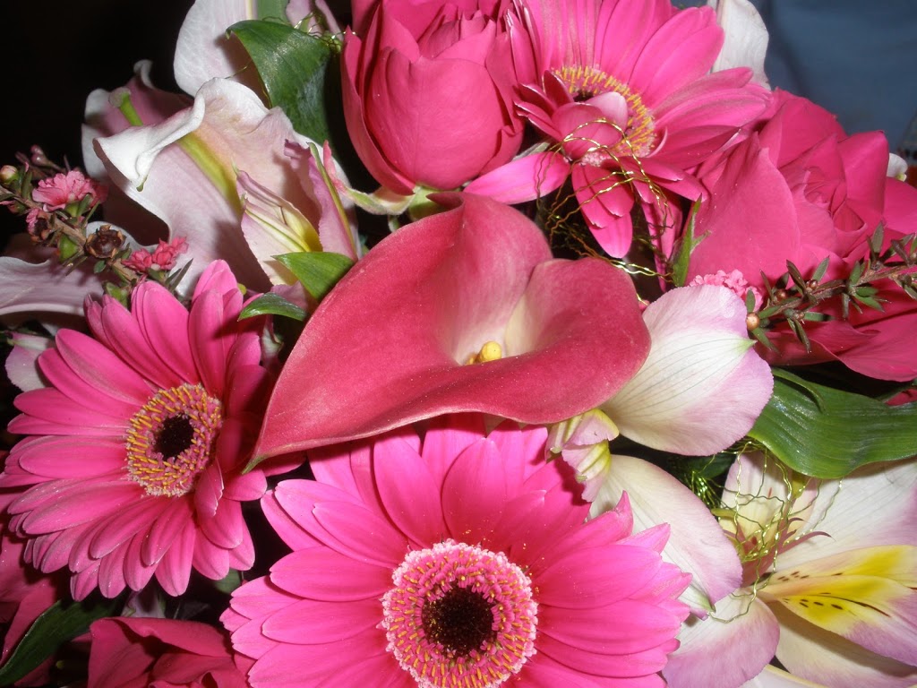 Jennings Florists | 2508 Estevan Ave, Victoria, BC V8R 2S7, Canada | Phone: (250) 477-9538