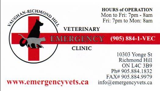 Animal Hospital Of Beeton | 60 Main St W, Beeton, ON L0G 1A0, Canada | Phone: (905) 729-2929