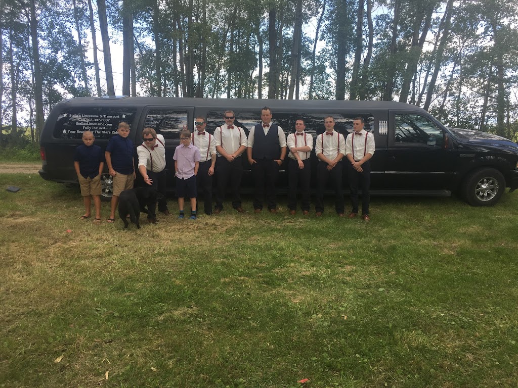 Stellas Limousine & Transport | 18 Jackson Close, Red Deer, AB T4P 3W5, Canada | Phone: (403) 307-0887