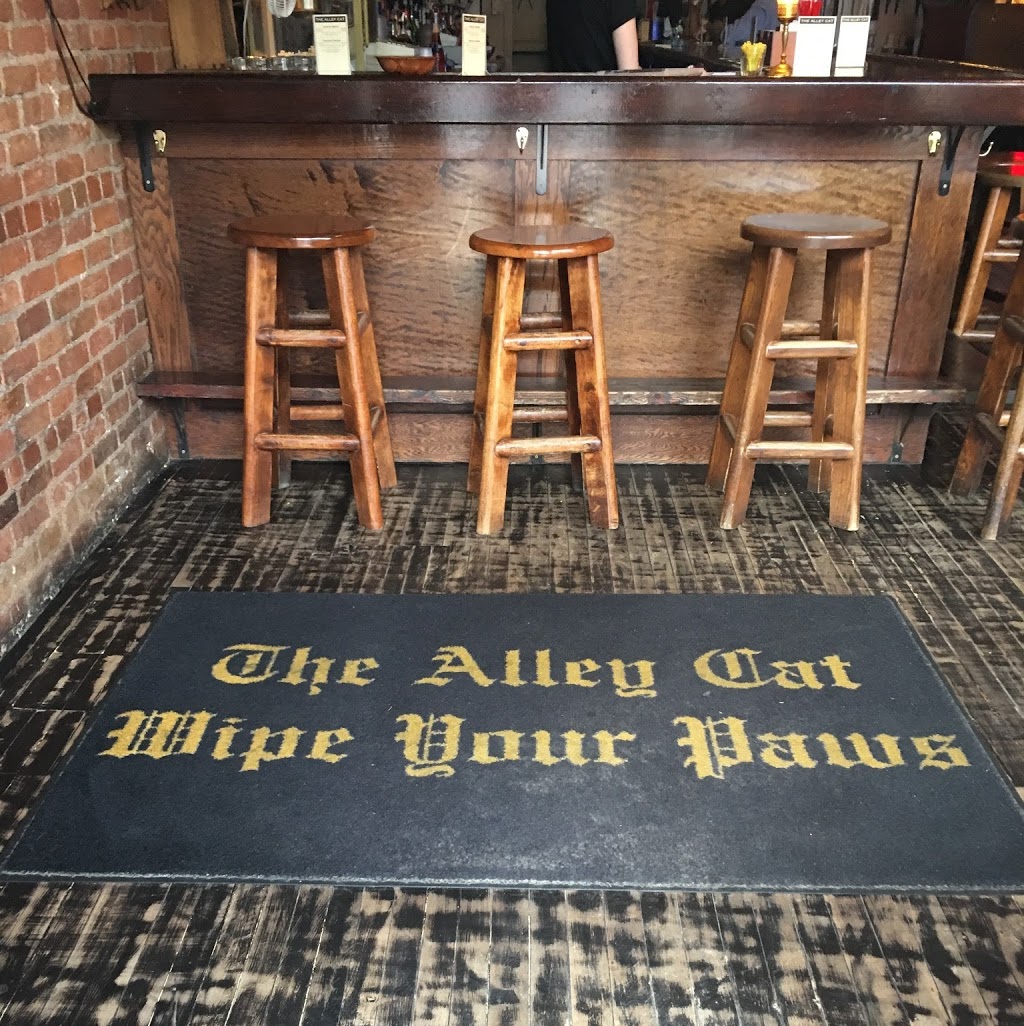 The Alley Cat | 199 Allen St, Buffalo, NY 14201, USA | Phone: (716) 235-8215