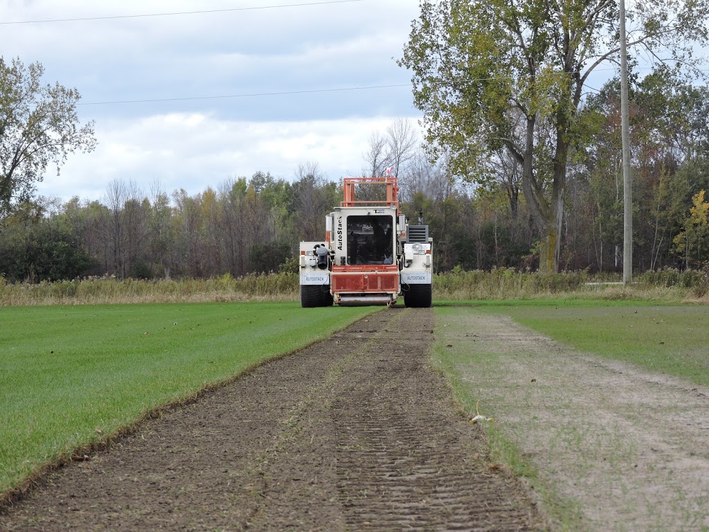 Young Sod Farms | 360 Foss Rd, Fenwick, ON L0S 1C0, Canada | Phone: (905) 892-2681