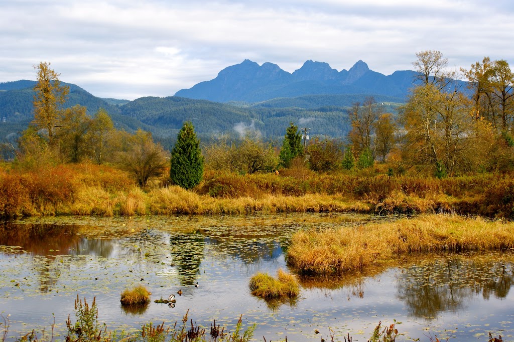 Jerry Sulina Park | Maple Ridge, BC V4R 2R9, Canada