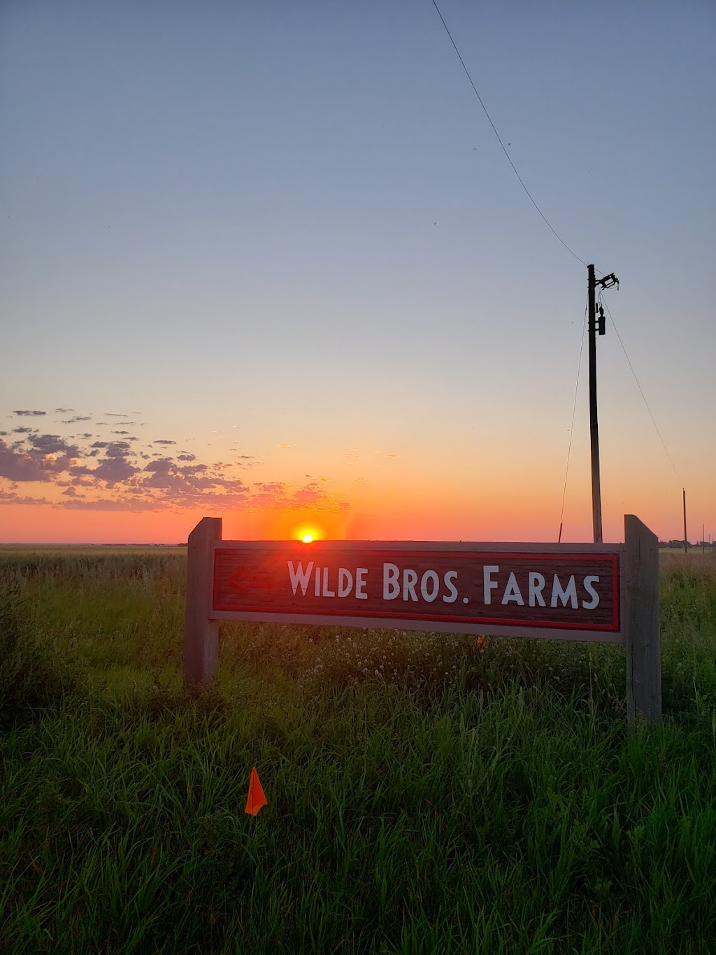 Wilde Brothers Farms Ltd. | Range Rd 213, Cardston County, AB T0K 2N0, Canada | Phone: (403) 752-3500