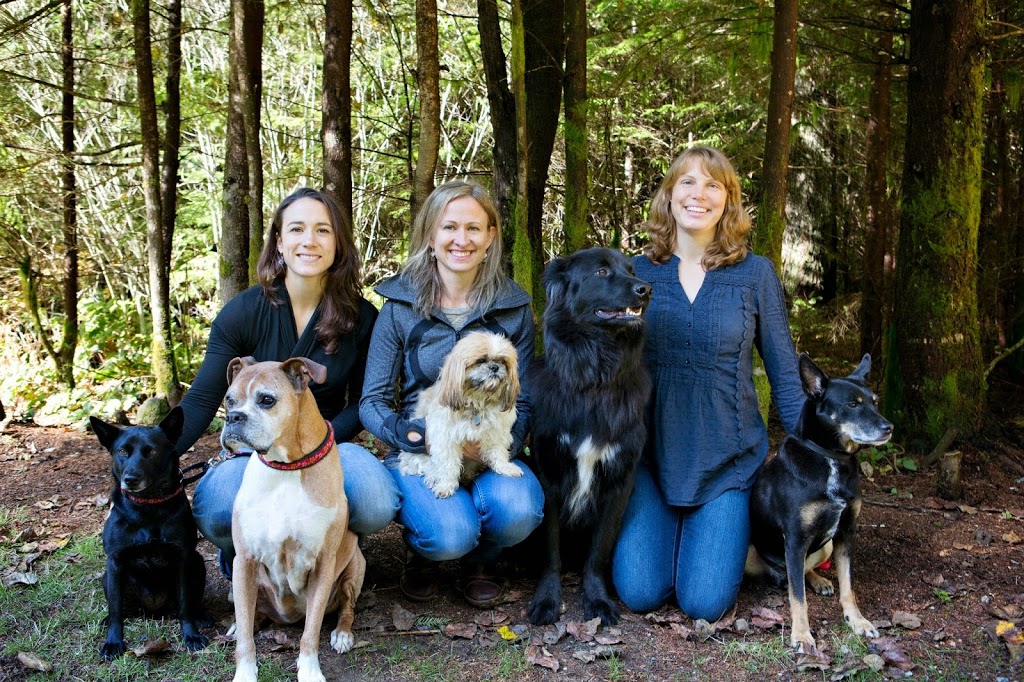 Eagleview Veterinary Hospital | 38147 Cleveland Ave Suite 101, Squamish, BC V8B 0A2, Canada | Phone: (604) 815-6808