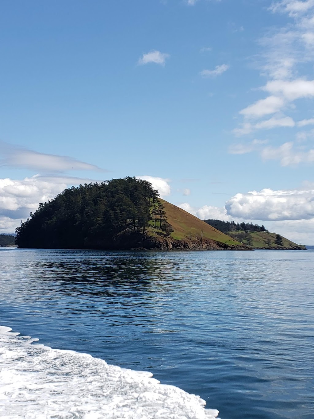 San Juan Safaris - Whale Watching | 10 Front St #102, Friday Harbor, WA 98250, USA | Phone: (360) 378-1323