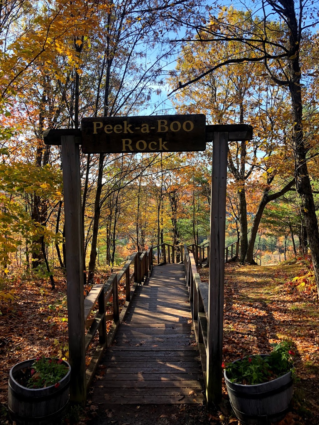 Dorset Lookout Tower | 1191 Dorset Scenic Tower Rd, Dwight, ON P0A 1H0, Canada | Phone: (705) 766-1032