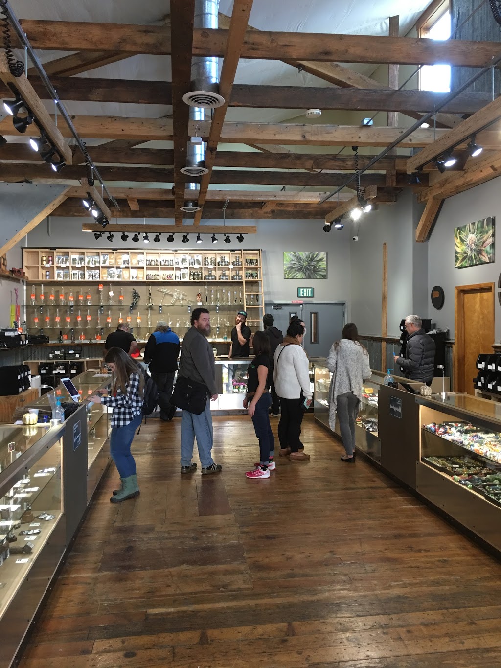 Satori Bellingham Dispensary | 100 E Maple St, Bellingham, WA 98225, USA | Phone: (360) 746-8478