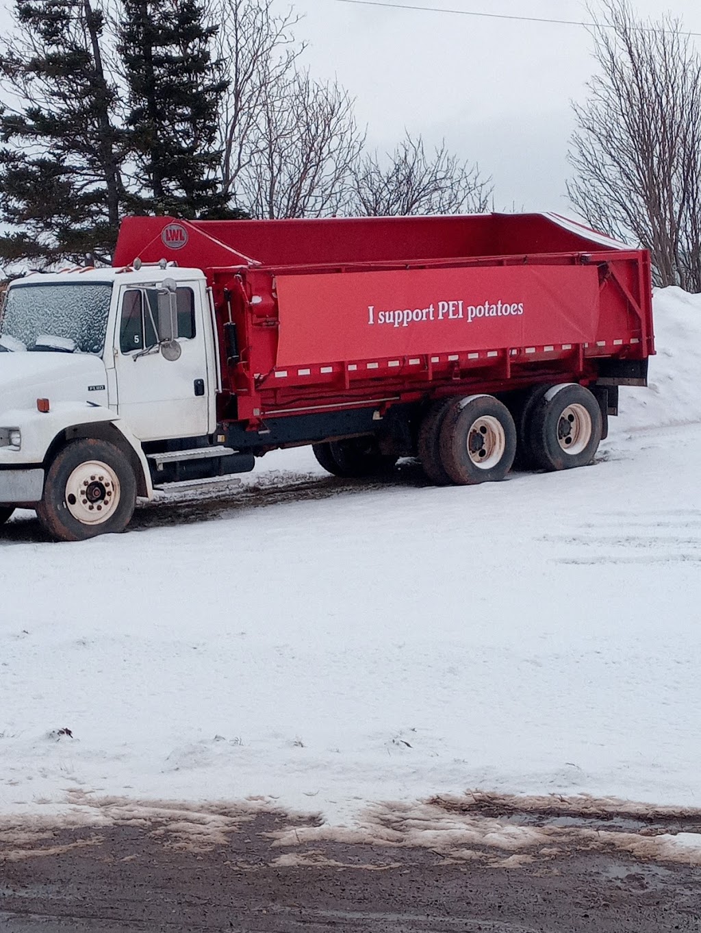 Gerrit Visser & Sons Potato Warehouse | 6346 Trans-Canada Hwy, Vernon Bridge, PE C0A 2E0, Canada | Phone: (902) 651-2371