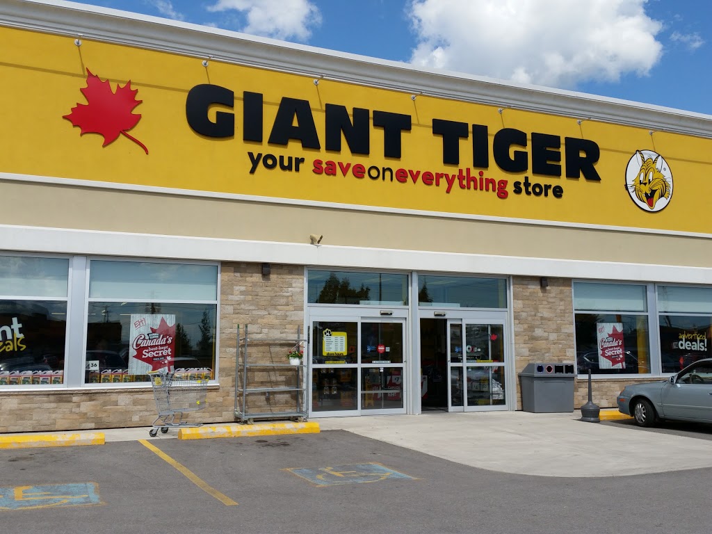 Giant Tiger | 936 Edward St N, Prescott, ON K0E 1T0, Canada | Phone: (613) 925-4615