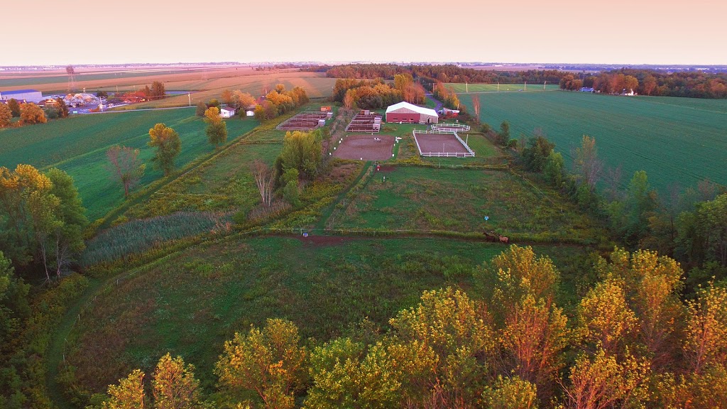 Manège Du Centaure Equestrian Center And School Déquitation | 210 Chemin du Grand-Pré, Saint-Jean-sur-Richelieu, QC J2Y 1J5, Canada | Phone: (450) 358-5559