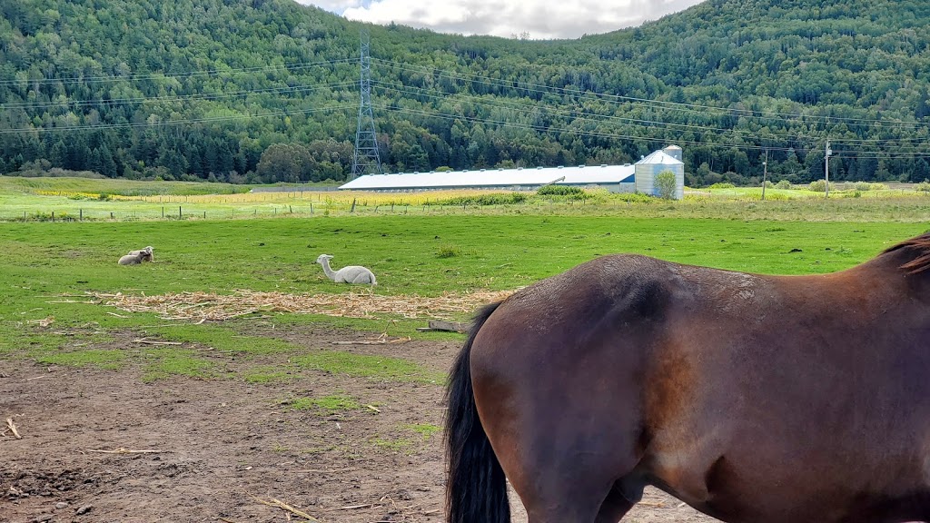 Ferme Marie-Noëlle Beaulieu | 674 Chemin St Laurent, Baie-Saint-Paul, QC G3Z 2L7, Canada | Phone: (418) 435-8931