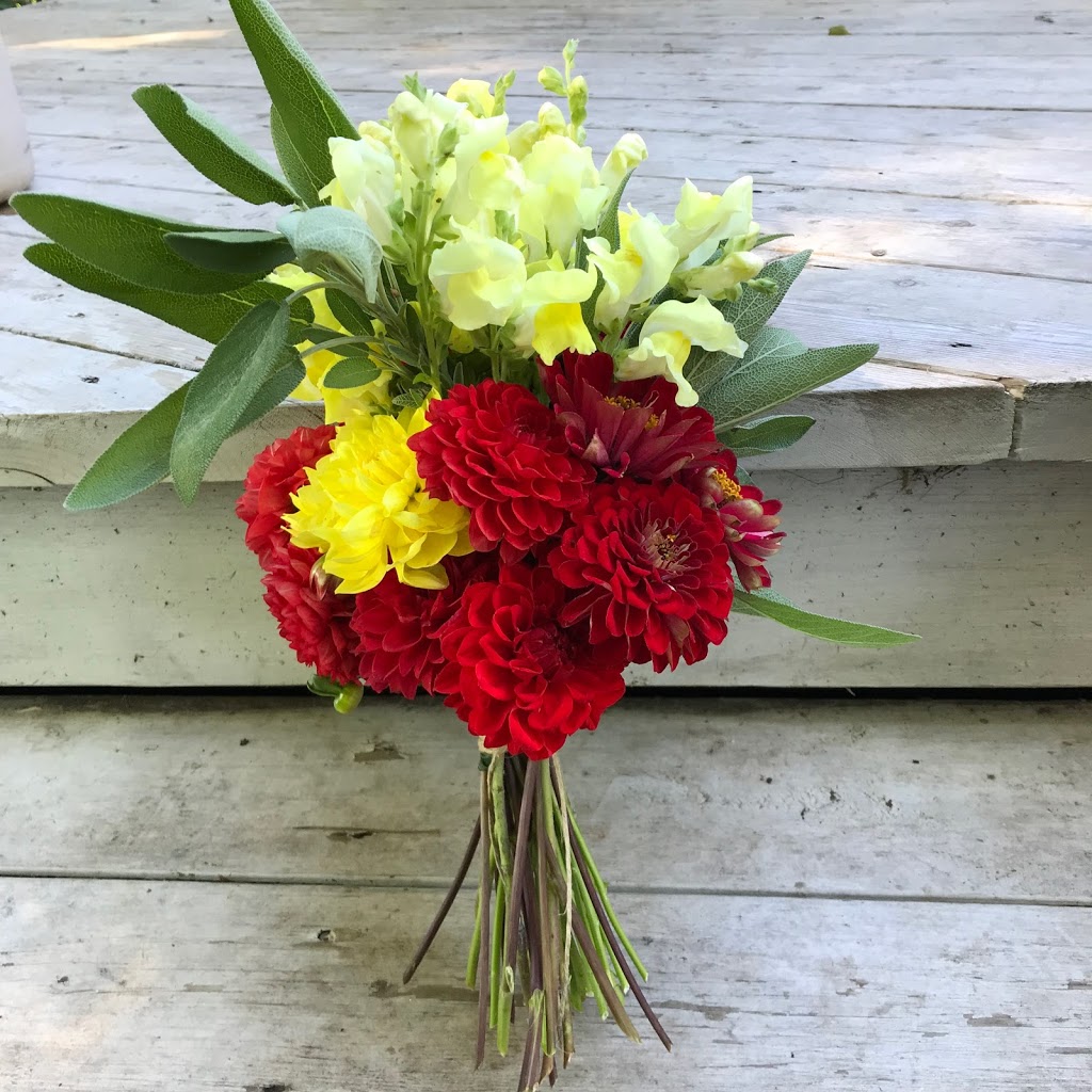 Dirt Road Flowers | 10 Palmer Dr, St Williams, ON N0E 1P0, Canada | Phone: (226) 549-7732