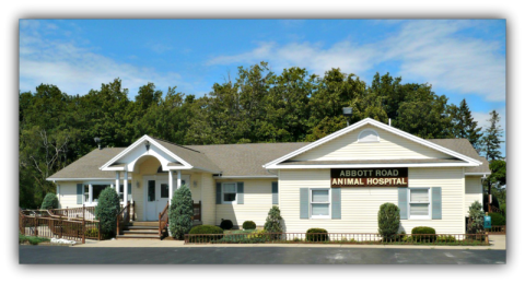 Abbott Road Animal Hospital | 3816 Abbott Rd, Orchard Park, NY 14127, USA | Phone: (716) 648-1340