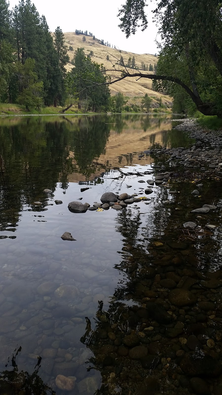 Kettle River RV Park | 3255 BC-3, Rock Creek, BC V0H 1Y0, Canada | Phone: (250) 446-2225