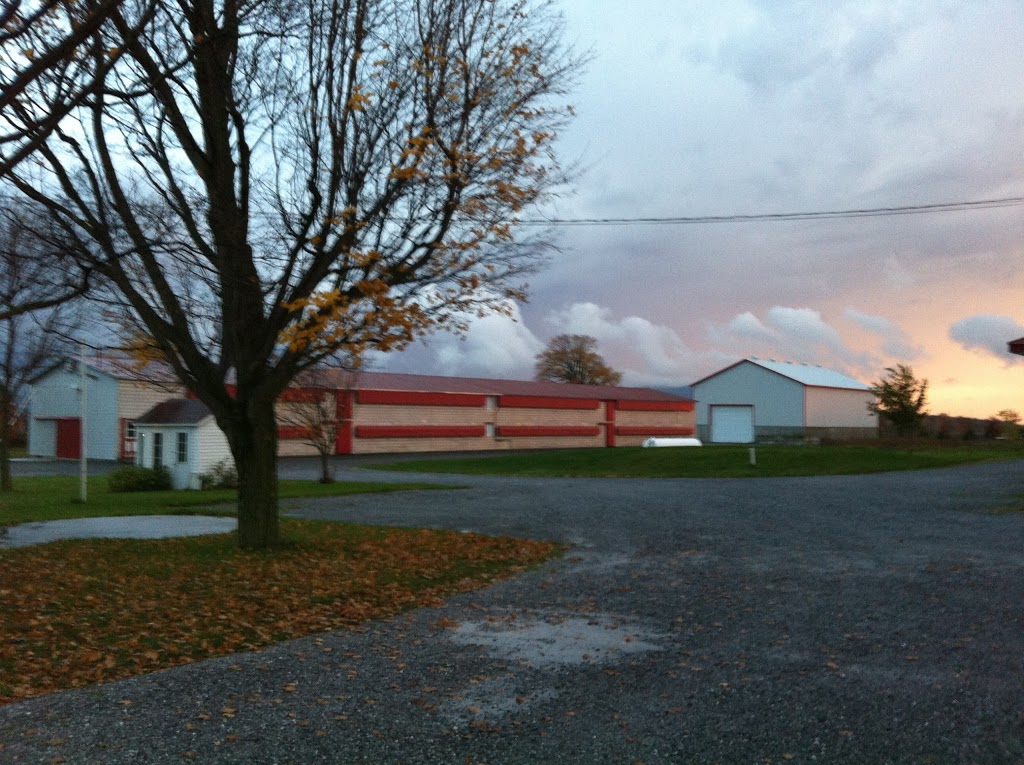 Volailles aux Grains Dorés | 1774 Rue Principale, Saint-Dominique, QC J0H 1L0, Canada | Phone: (450) 773-1444